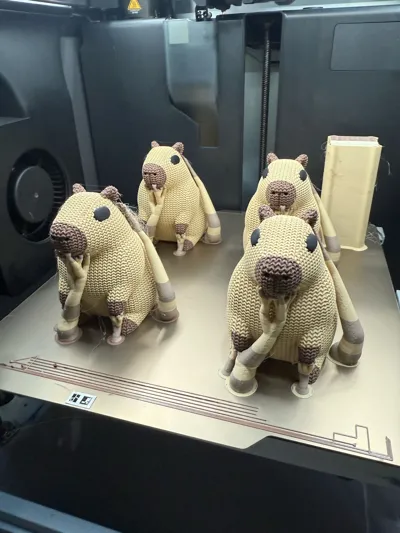 https://makerworld.bblmw.com/makerworld/model/1271841/1298764/ratings/31a55ca0-1197-11f0-9940-8f4c922b13f8.jpg
