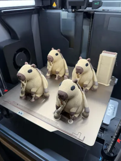 https://makerworld.bblmw.com/makerworld/model/1271841/1298764/ratings/31b477d0-1197-11f0-9940-8f4c922b13f8.jpg