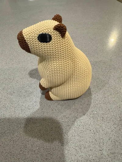 https://makerworld.bblmw.com/makerworld/model/1271841/1298764/ratings/7542ae30-2106-11f0-bf58-7ffe2aff0bf6.jpg