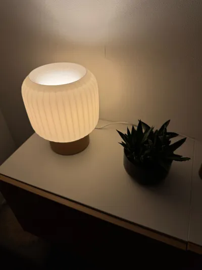 https://makerworld.bblmw.com/makerworld/model/1272186/1299185/ratings/7ec1b910-63b9-11f0-b25c-a3a0b55792c0.jpg