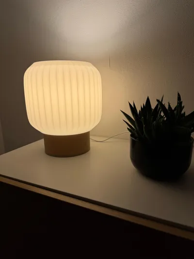 https://makerworld.bblmw.com/makerworld/model/1272186/1299185/ratings/7eca1d80-63b9-11f0-b25c-a3a0b55792c0.jpg