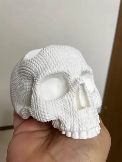 https://makerworld.bblmw.com/makerworld/model/1273478/1300787/ratings/d8b34180-a803-11f0-a332-4d5983c0c598.jpg