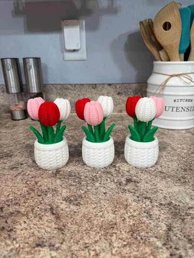 https://makerworld.bblmw.com/makerworld/model/1273557/1300853/ratings/09bebc30-f045-11f0-b82e-6743abe4e9e7.jpg