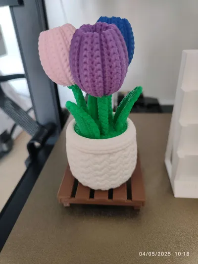 https://makerworld.bblmw.com/makerworld/model/1273557/1300853/ratings/503b3080-28ea-11f0-b60e-9b63f83a3e64.jpg