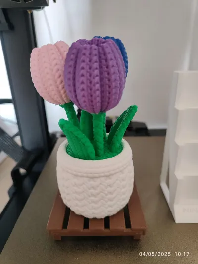 https://makerworld.bblmw.com/makerworld/model/1273557/1300853/ratings/50403990-28ea-11f0-b60e-9b63f83a3e64.jpg