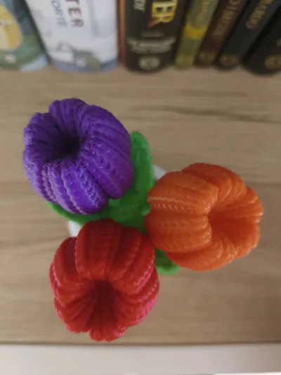 https://makerworld.bblmw.com/makerworld/model/1273557/1300853/ratings/b7149f70-6969-11f0-8653-fb885c8ff91a.jpg