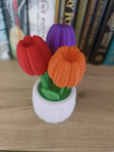 https://makerworld.bblmw.com/makerworld/model/1273557/1300853/ratings/b71ab9f0-6969-11f0-8653-fb885c8ff91a.jpg