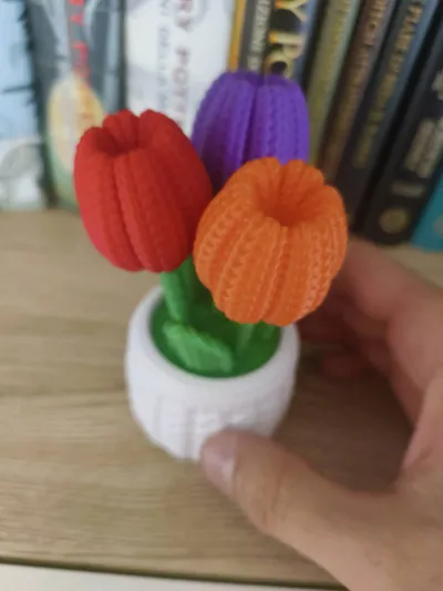 https://makerworld.bblmw.com/makerworld/model/1273557/1300853/ratings/b71c1980-6969-11f0-8653-fb885c8ff91a.jpg
