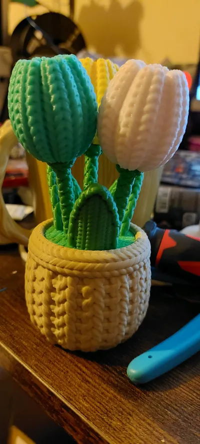 https://makerworld.bblmw.com/makerworld/model/1273557/1300853/ratings/bff37470-1c9a-11f0-ad5d-8b4ee8a1ff3c.jpg