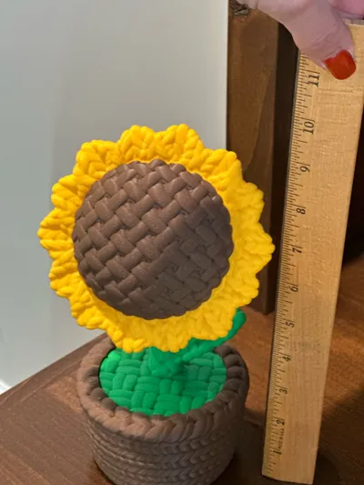 https://makerworld.bblmw.com/makerworld/model/1273626/1317852/ratings/852a8e80-a072-11f0-aa40-4debcd40e3da.jpg