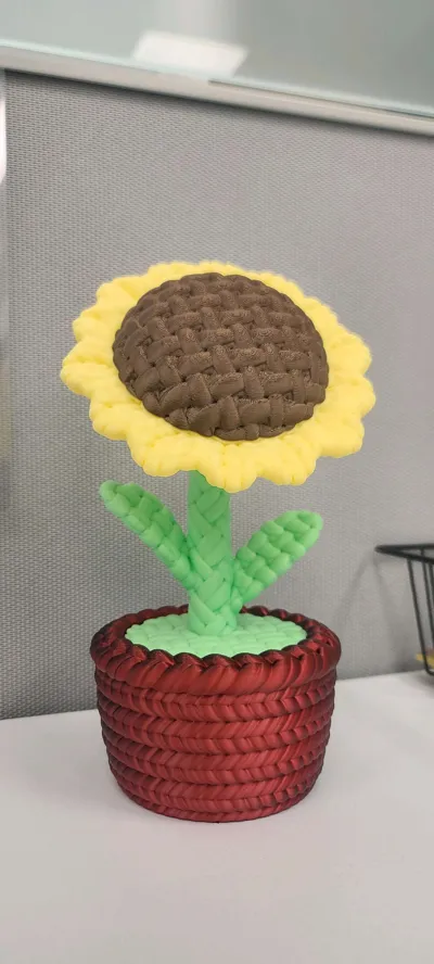 https://makerworld.bblmw.com/makerworld/model/1273626/1317852/ratings/ff8796a0-ea73-11f0-9b64-5144de4e1bbf.jpg