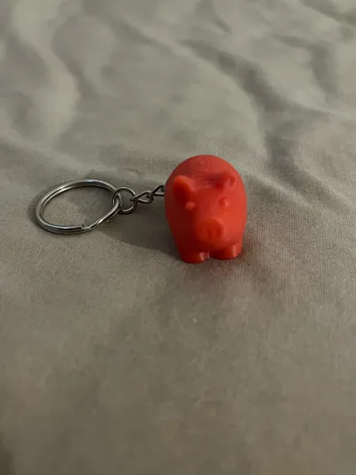 https://makerworld.bblmw.com/makerworld/model/1273807/1301145/ratings/903bfdc0-3af3-11f0-ab13-5163b295f8aa.jpg
