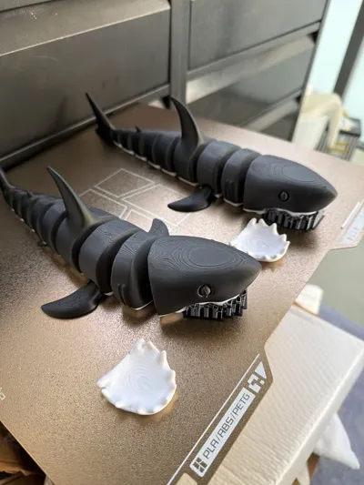 https://makerworld.bblmw.com/makerworld/model/1274721/1302278/ratings/835c5ab0-cdc3-11f0-896f-0fc4a7668ef8.jpg