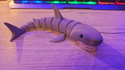 https://makerworld.bblmw.com/makerworld/model/1274721/1302278/ratings/ce0b1de0-c2f0-11f0-8705-e343ee8e068a.jpg