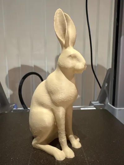https://makerworld.bblmw.com/makerworld/model/1275056/1302737/ratings/04ddc960-76fe-11f0-8b89-45cba7b24f6d.jpg
