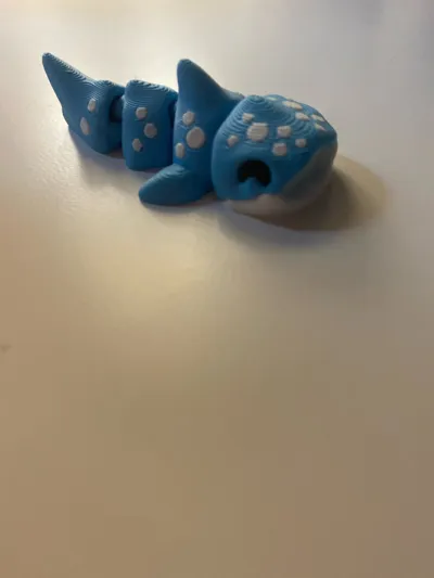 https://makerworld.bblmw.com/makerworld/model/1275065/1302718/ratings/00e1a410-a7a7-11f0-a8c3-33868ae17eb1.jpg