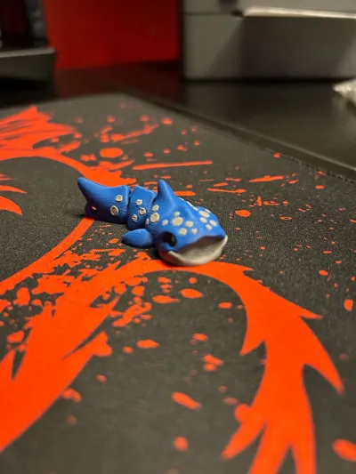 https://makerworld.bblmw.com/makerworld/model/1275065/1302723/ratings/a1157d30-9ed8-11f0-9b4d-afa24a33f7cf.jpg