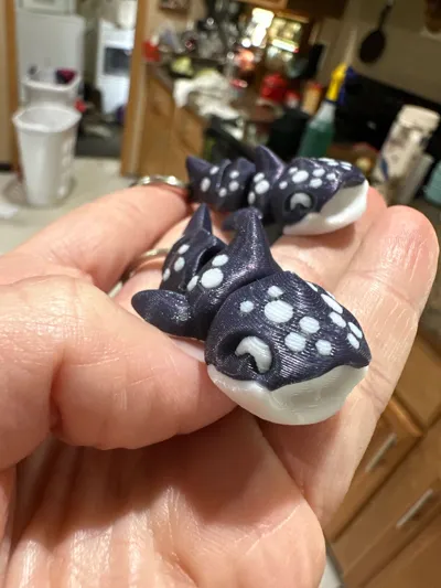 https://makerworld.bblmw.com/makerworld/model/1275065/1302732/ratings/db0c0e80-21d0-11f0-852d-518fa56802f3.jpg
