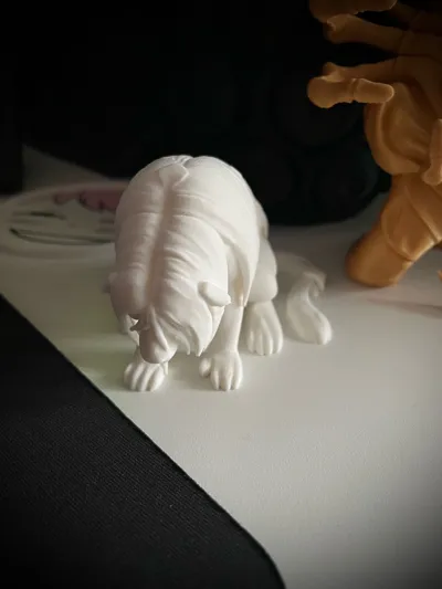https://makerworld.bblmw.com/makerworld/model/1275503/1303246/ratings/44ba72a0-d1de-11f0-bd4f-07e8c9219c58.jpg