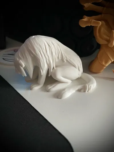 https://makerworld.bblmw.com/makerworld/model/1275503/1303246/ratings/44ba72a1-d1de-11f0-bd4f-07e8c9219c58.jpg
