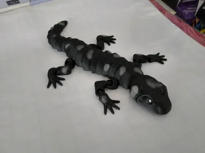 https://makerworld.bblmw.com/makerworld/model/1277172/1304937/ratings/2728d270-7439-11f0-a63f-bf4f80e34811.jpg