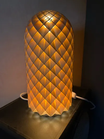 https://makerworld.bblmw.com/makerworld/model/1278511/1305953/ratings/a77fb180-1bcb-11f0-8940-b97f5c41e619.jpg