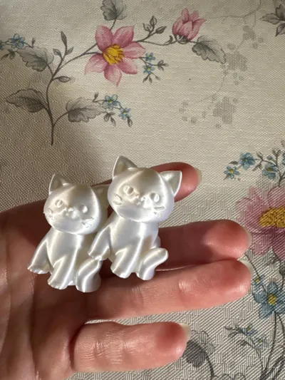 https://makerworld.bblmw.com/makerworld/model/1278800/1306613/ratings/96747150-84c6-11f0-81b4-69ec894c6ccf.jpg