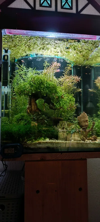https://makerworld.bblmw.com/makerworld/model/1280812/1308649/ratings/5507ca10-8c0e-11f0-b2ed-83a74b5d44c4.jpg