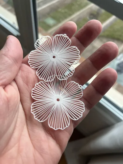 https://makerworld.bblmw.com/makerworld/model/1281050/1308955/ratings/957aaf70-1622-11f0-b92d-bbb6a976ff16.jpg