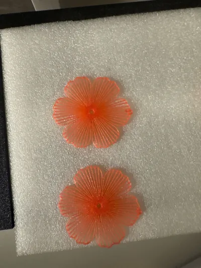 https://makerworld.bblmw.com/makerworld/model/1281050/1320596/ratings/3e3bf0a0-a9d1-11f0-90b3-f932d12724e4.jpg