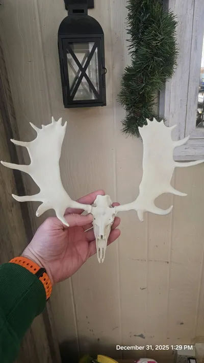 https://makerworld.bblmw.com/makerworld/model/1281832/1309943/ratings/b02acdd0-e676-11f0-93c3-27a113cd279c.jpg