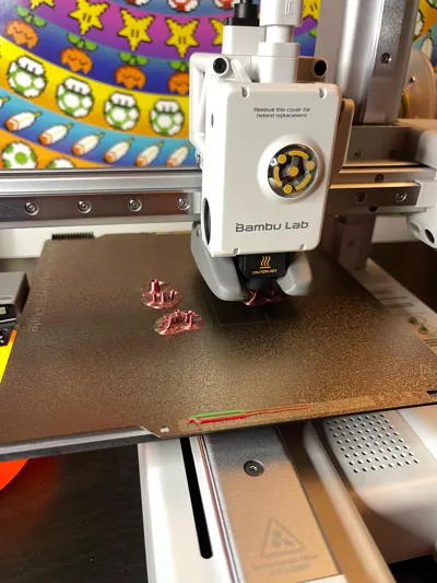 https://makerworld.bblmw.com/makerworld/model/1282566/1310879/ratings/2e4fb810-6490-11f0-b8b4-816a9c1818ea.jpg