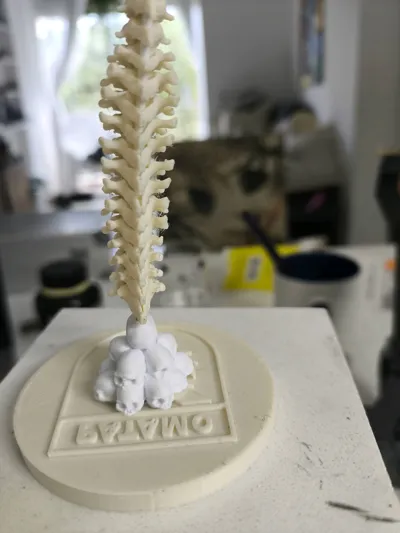 https://makerworld.bblmw.com/makerworld/model/1282786/1681196/ratings/c69fe3b0-d1d2-11f0-ba26-251911659121.jpg