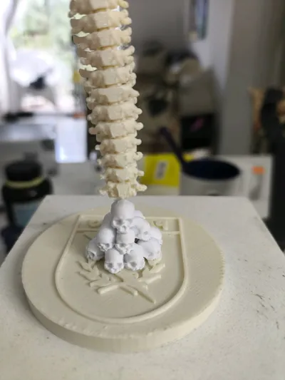 https://makerworld.bblmw.com/makerworld/model/1282786/1681196/ratings/c6a16a50-d1d2-11f0-ba26-251911659121.jpg