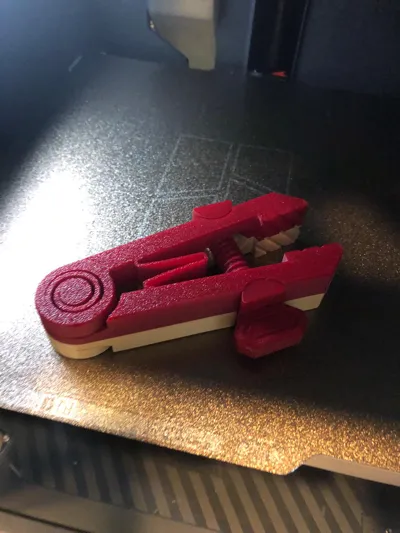 https://makerworld.bblmw.com/makerworld/model/1283401/1311988/ratings/160a4860-21e7-11f0-bc7c-13f95f8e76b0.jpg