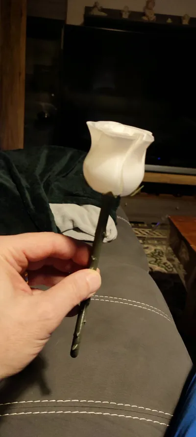 https://makerworld.bblmw.com/makerworld/model/1283807/1312502/ratings/ef283c70-f56c-11f0-8150-a3393cf70b8c.jpg