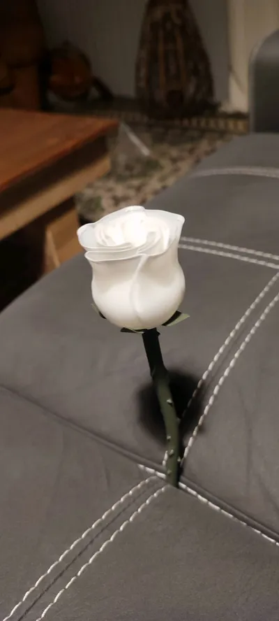 https://makerworld.bblmw.com/makerworld/model/1283807/1312502/ratings/ef2c5b20-f56c-11f0-8150-a3393cf70b8c.jpg