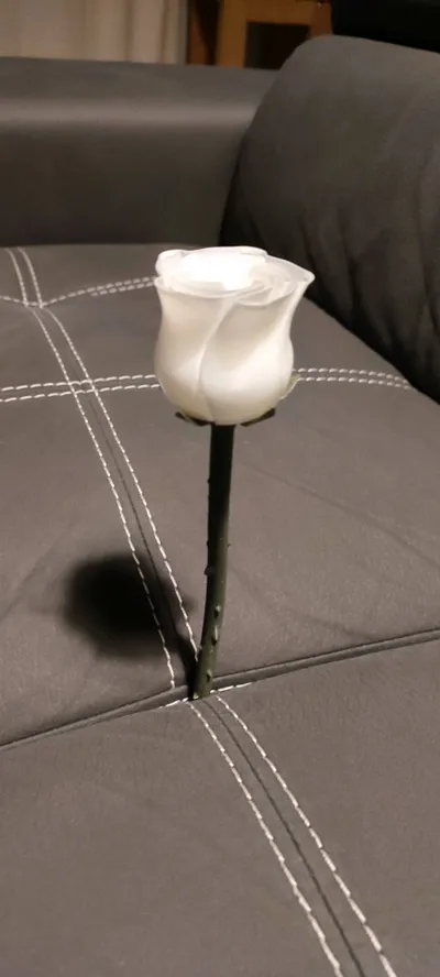 https://makerworld.bblmw.com/makerworld/model/1283807/1312502/ratings/ef2e08d0-f56c-11f0-8150-a3393cf70b8c.jpg