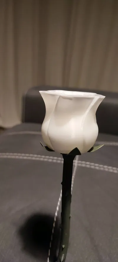 https://makerworld.bblmw.com/makerworld/model/1283807/1312502/ratings/ef3de750-f56c-11f0-8150-a3393cf70b8c.jpg