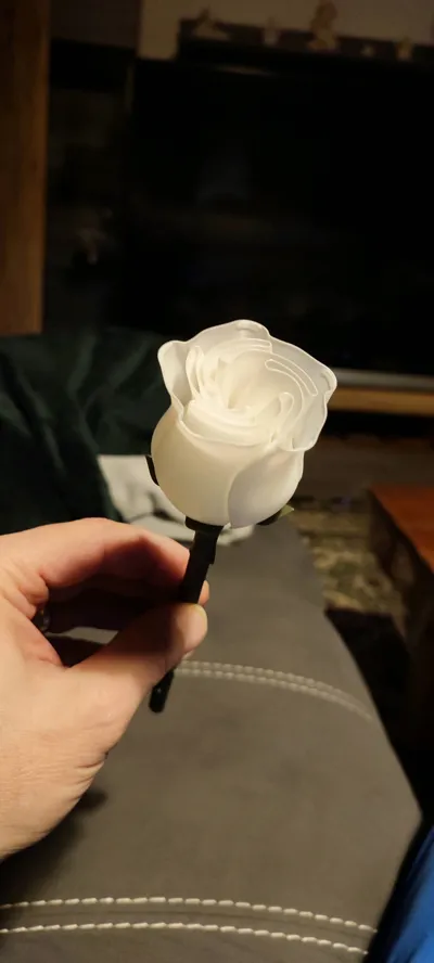 https://makerworld.bblmw.com/makerworld/model/1283807/1312502/ratings/ef453a50-f56c-11f0-8150-a3393cf70b8c.jpg