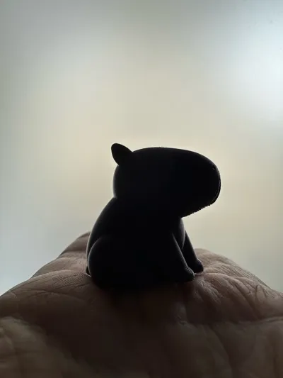 https://makerworld.bblmw.com/makerworld/model/1284399/1313180/ratings/1f0335f0-9ec7-11f0-83a0-1770fb815501.jpg