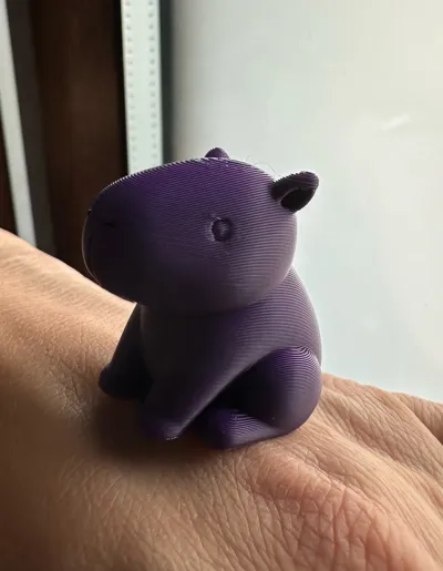 https://makerworld.bblmw.com/makerworld/model/1284399/1313180/ratings/1f08db40-9ec7-11f0-83a0-1770fb815501.jpg