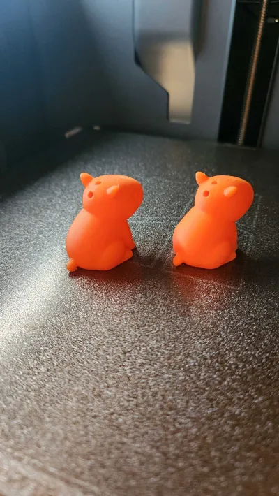 https://makerworld.bblmw.com/makerworld/model/1284399/1313180/ratings/47097500-49d1-11f0-a1ba-859da7b04712.jpg