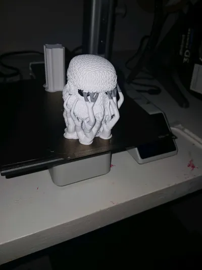 https://makerworld.bblmw.com/makerworld/model/1285145/1314073/ratings/e57bfc70-25e2-11f0-a9a3-f307e0383932.jpg