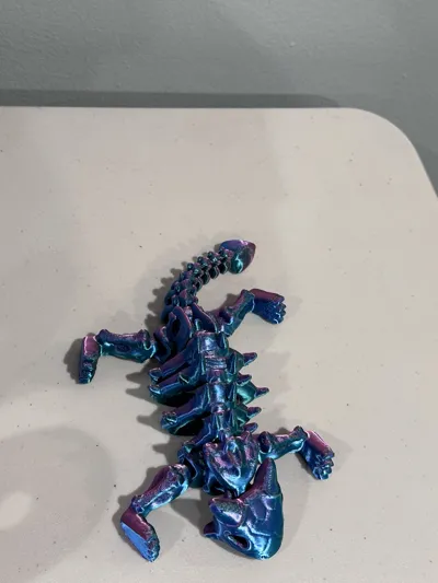 https://makerworld.bblmw.com/makerworld/model/1285477/1314461/ratings/6aafdc10-2230-11f0-b2d1-6d4804e180bc.jpg