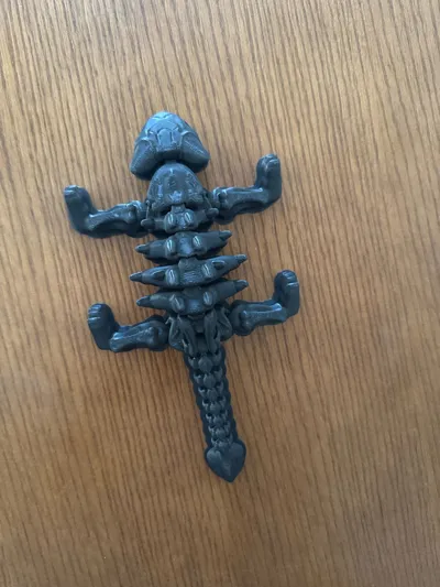 https://makerworld.bblmw.com/makerworld/model/1285477/1314461/ratings/d24c1c50-cd4b-11f0-9fe8-8bde0a791508.jpg