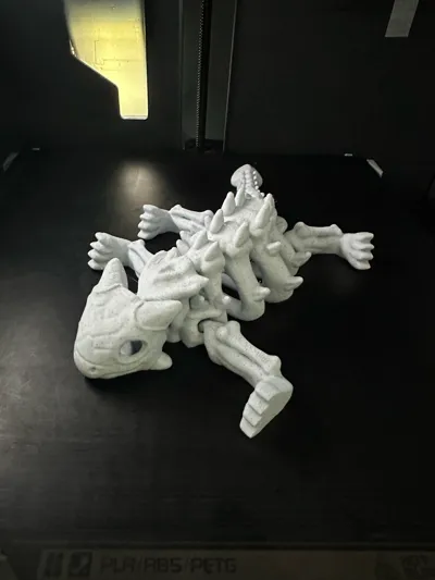 https://makerworld.bblmw.com/makerworld/model/1285477/1314461/ratings/f6f7fe60-1a32-11f0-9a02-7f2973e5ccaf.jpg
