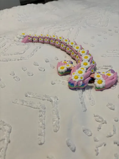 https://makerworld.bblmw.com/makerworld/model/1286777/1316064/ratings/549732f0-ab94-11f0-88b6-d1886b947480.jpg