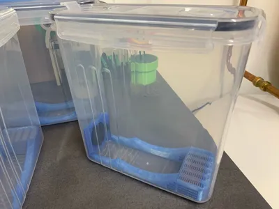 https://makerworld.bblmw.com/makerworld/model/1286920/1316271/ratings/d2fb9250-25eb-11f0-8c61-d35f726f5d65.jpg