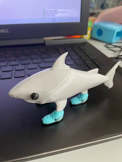 https://makerworld.bblmw.com/makerworld/model/1287498/1316979/ratings/8c516220-56f7-11f0-8c19-1b2d2b4636f7.jpg